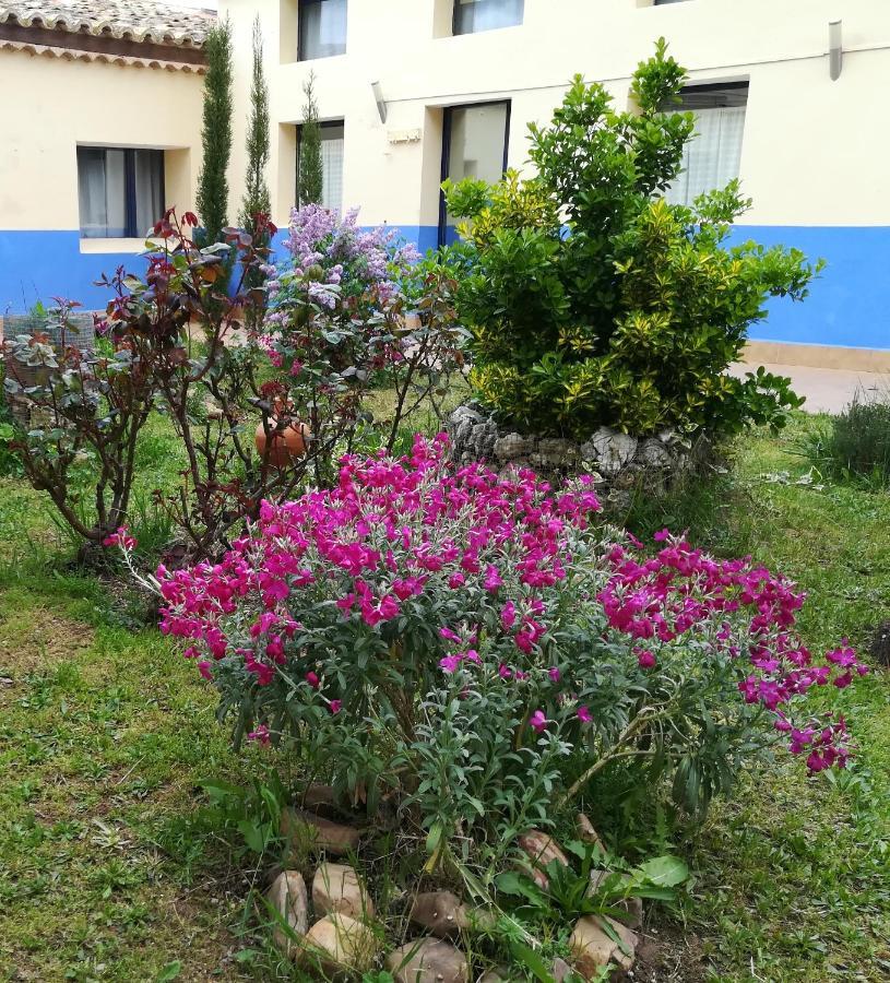 Affittacamere Quinta Del Jalon
